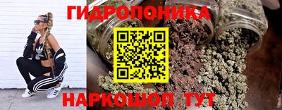амф Пенза