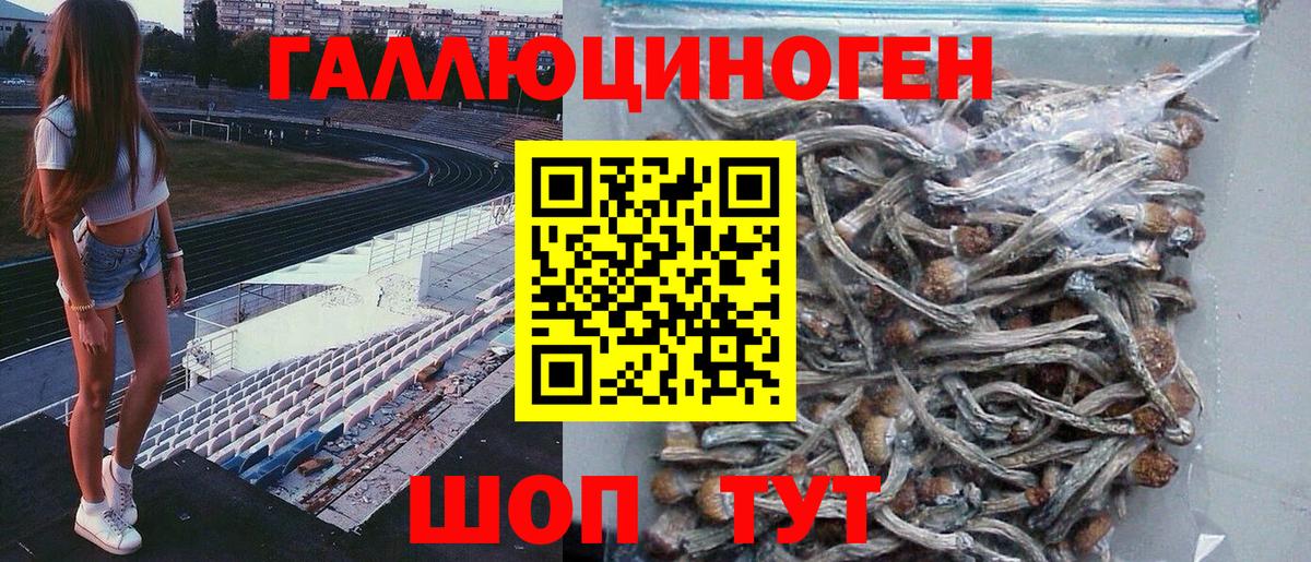Сочи  Псилоцибиновые грибы ЛСД  Вход с VPN 