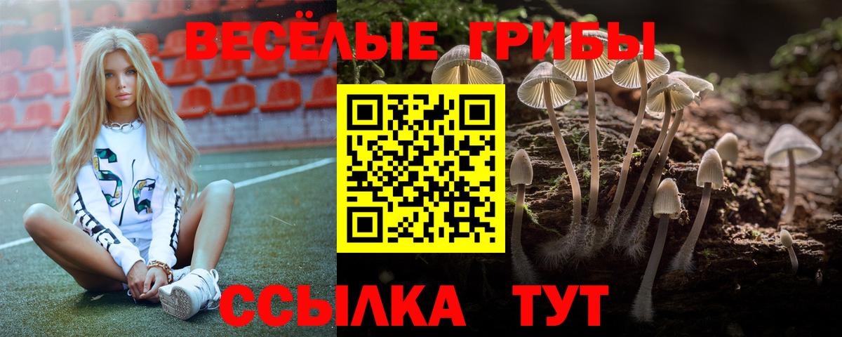 Псилоцибиновые грибы Psilocybine cubensis Сочи